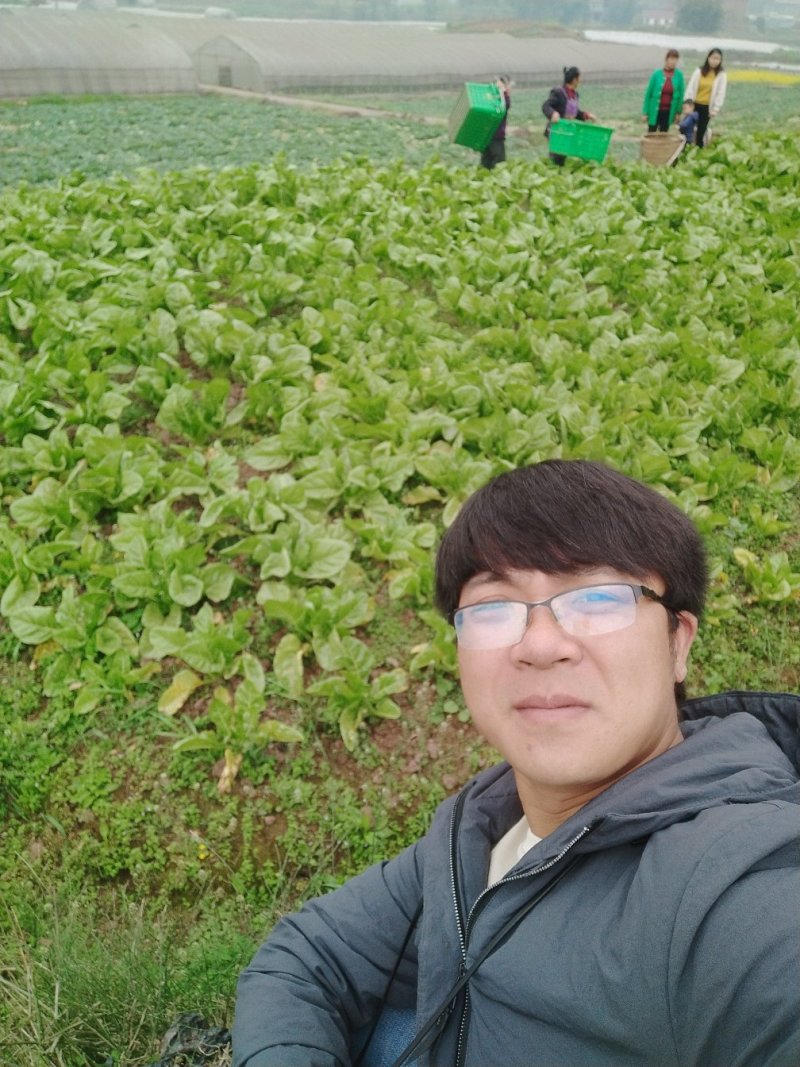 谁有土地需要转让的100亩左右请联系我