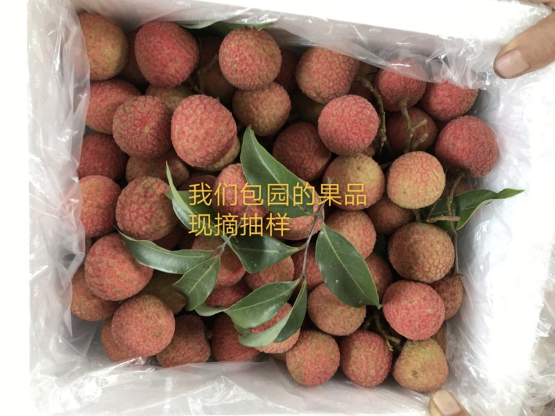 荔枝