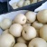 砀山皇冠梨质量好，价格便宜，量大从优。欢迎咨询。