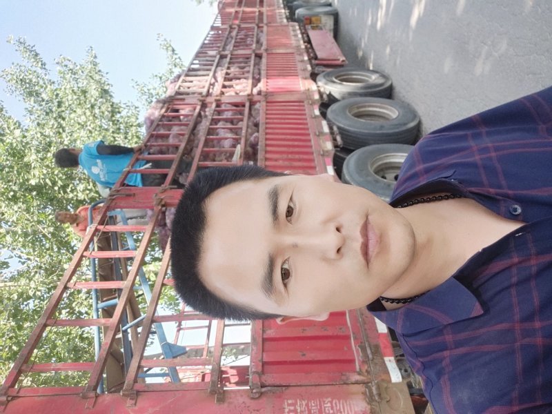 【洋葱】河南，通许新洋葱，洋葱诚信经营质量保证
