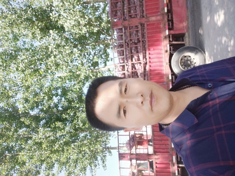 【洋葱】河南，通许新洋葱，洋葱诚信经营质量保证