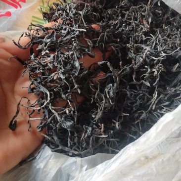 野生普洱，十多年的老茶婆