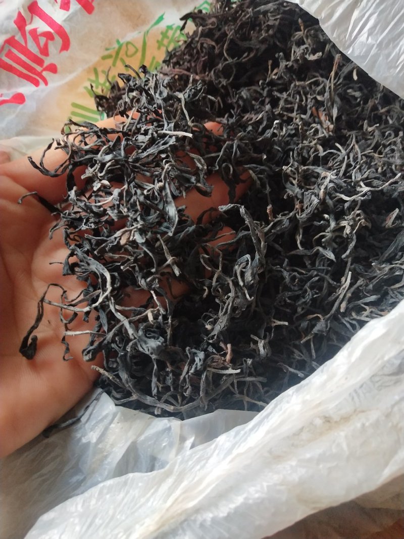 野生普洱，十多年的老茶婆