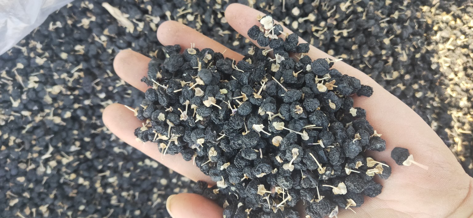 黑枸杞与决明子的搭配原理