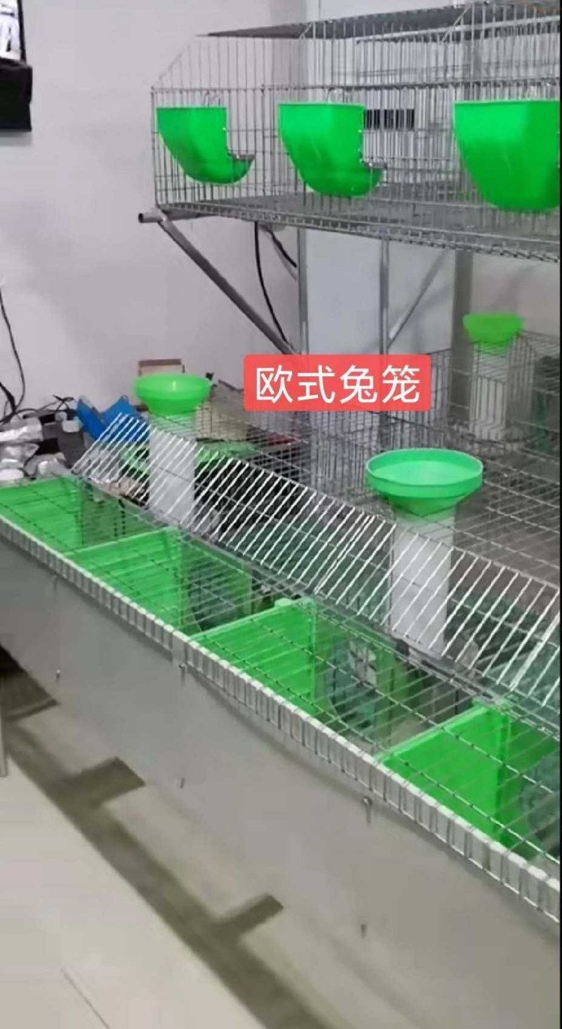 欧式兔笼一层10位两层20位标配高配
