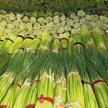蒜薹