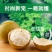 一件代发桂林低温脱水罗汉果