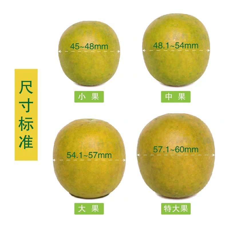 一件代发桂林低温脱水罗汉果