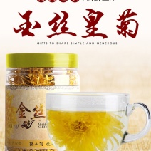 山西金丝皇菊一件代发买二送一