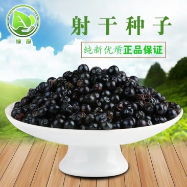 射干种子纯新射干籽，保证发芽率提供种植技术