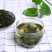 山西野生蒲公英茶一件代发