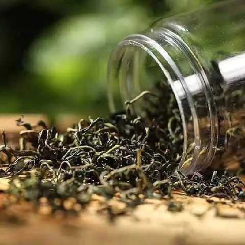 山西野生蒲公英茶一件代发