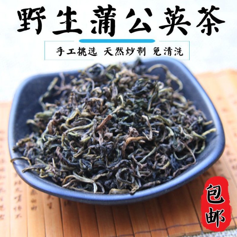 山西野生蒲公英茶一件代发