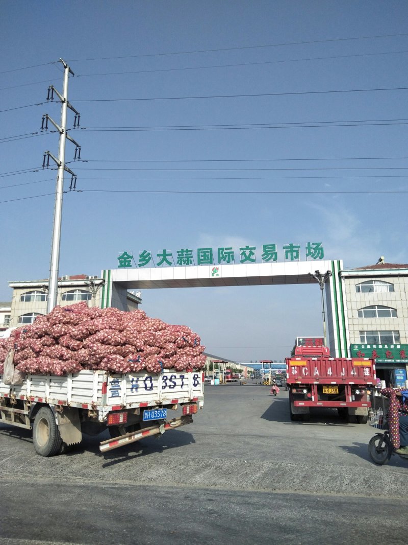 大蒜山东金乡20年鲜蒜产地直销，代办代存代发市场配资