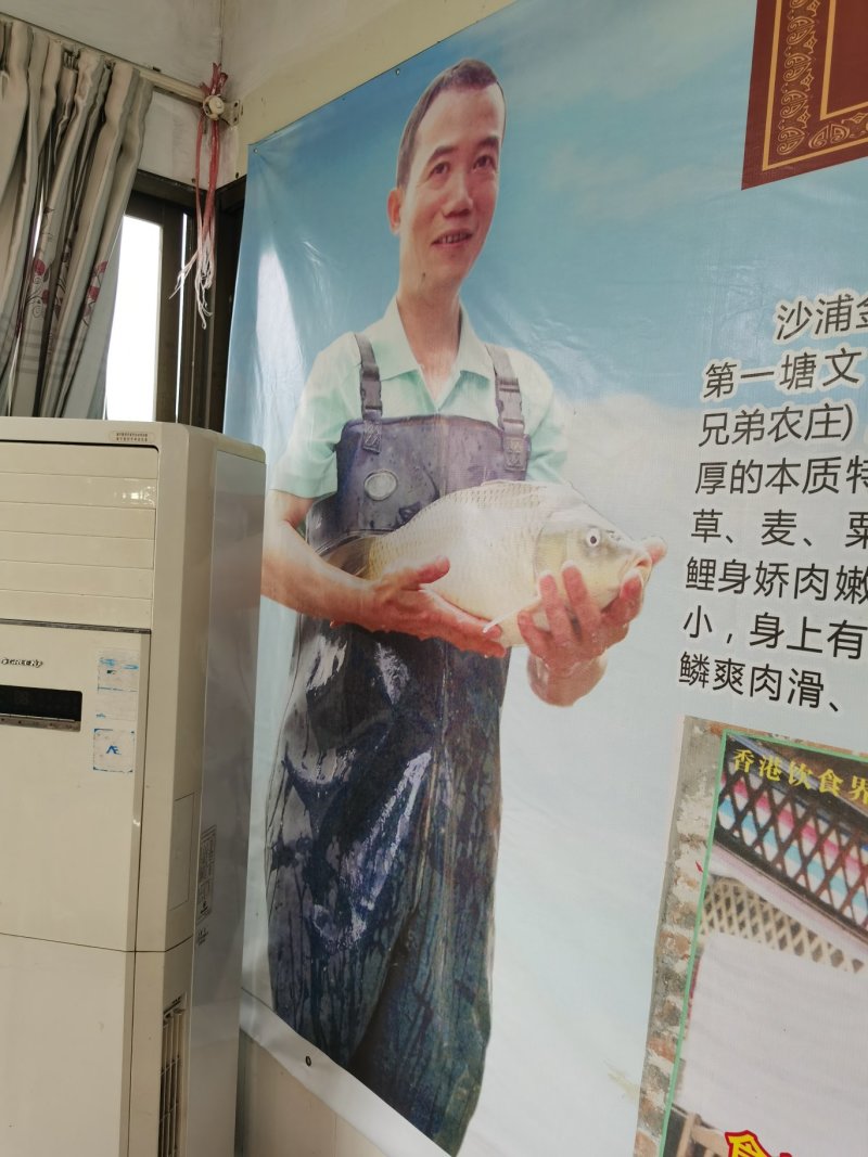 肇庆沙浦皇帝御用文庆鲤（文庆脘）特供鲜鱼，鱼干。