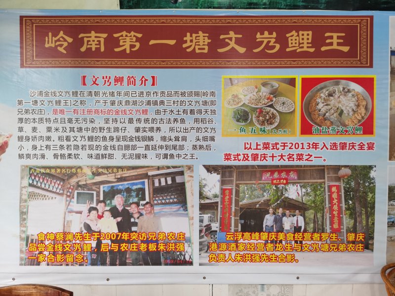 肇庆沙浦皇帝御用文庆鲤（文庆脘）特供鲜鱼，鱼干。