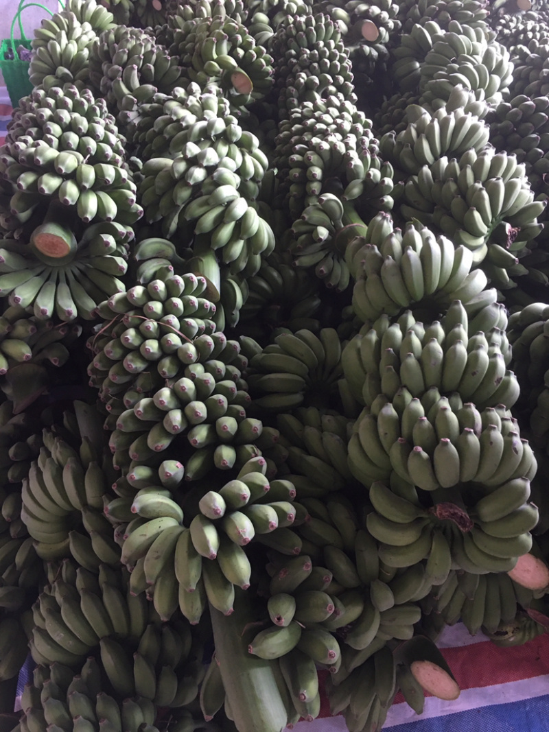 小米蕉，香蕉，西贡蕉