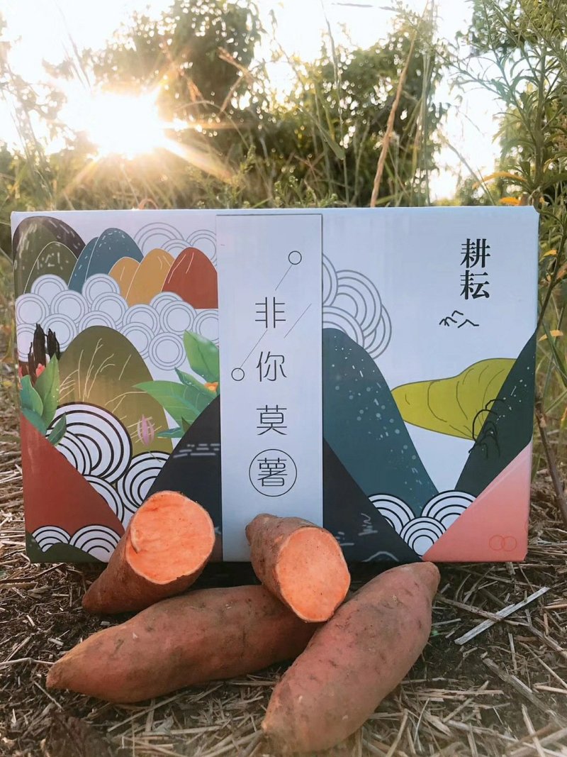 烟薯25新货甜蜜流油拉丝高复购单品一件代发蜜薯