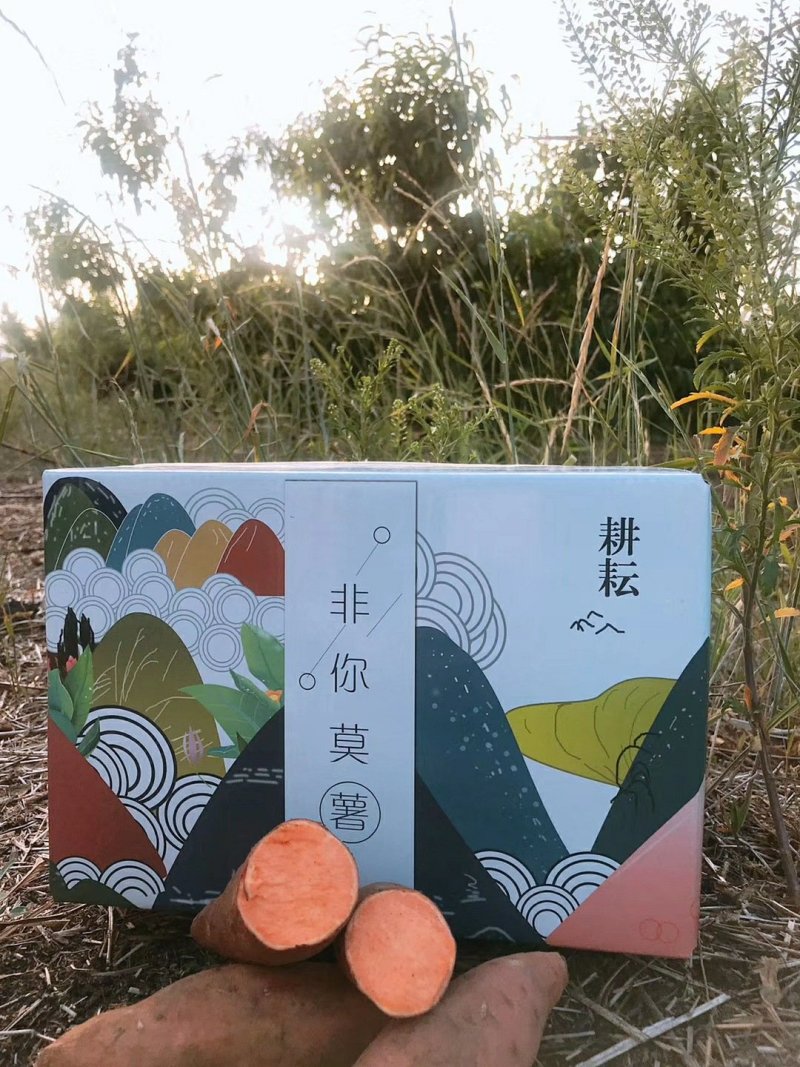 烟薯25新货甜蜜流油拉丝高复购单品一件代发蜜薯