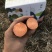 烟薯25新货甜蜜流油拉丝高复购单品一件代发蜜薯