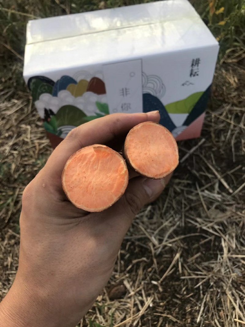 烟薯25新货甜蜜流油拉丝高复购单品一件代发蜜薯