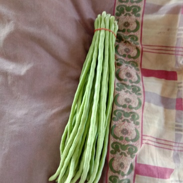 豆角