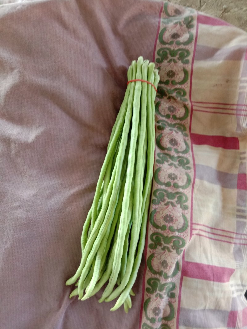 豆角