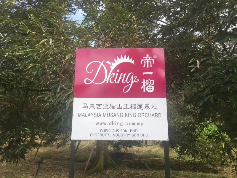 帝一榴马来西亚猫山王D197皇室贡品