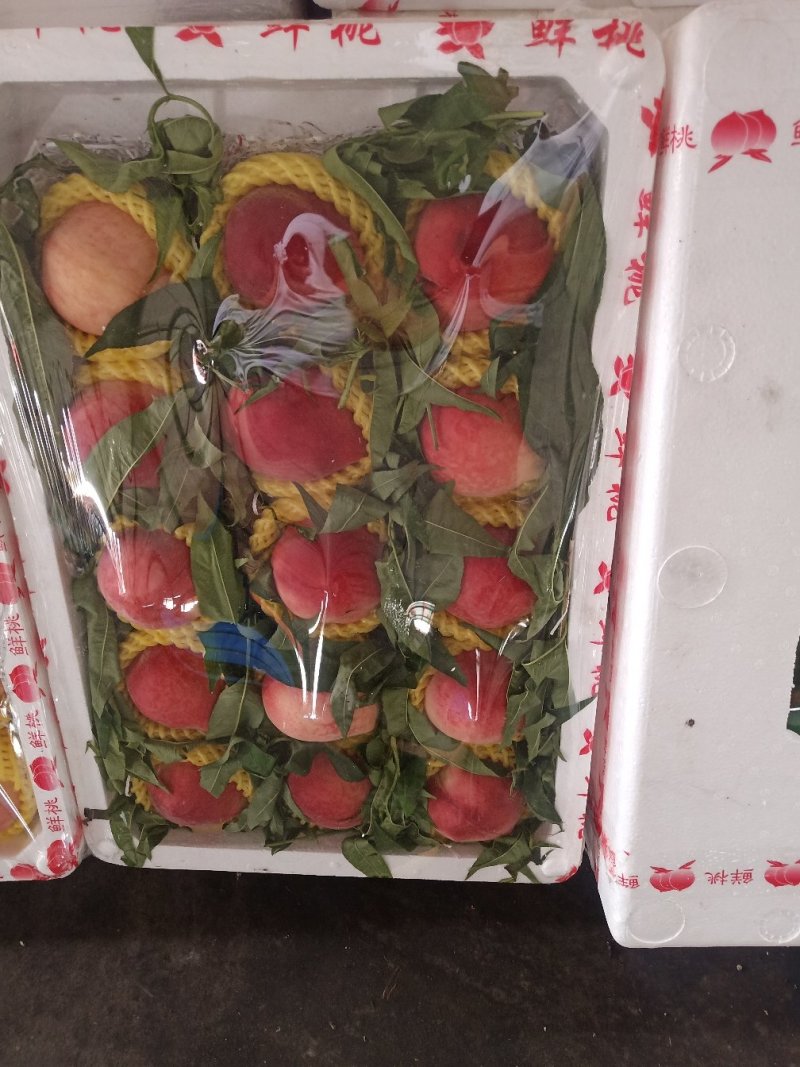 蔬菜