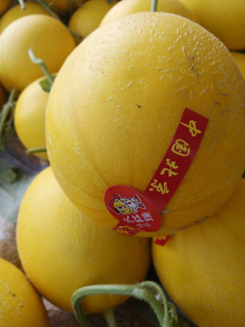 瓜果类