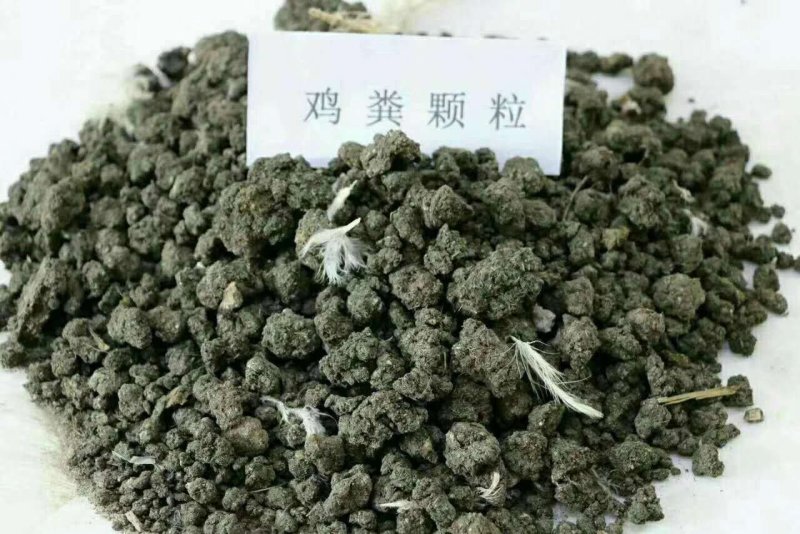沃福沃厂家直供天然纯鸡粪干鸡粪块鸡粪有机肥