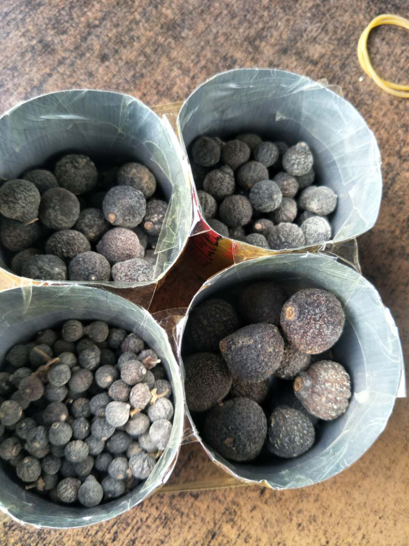 柑橘落地果，枳实，各种橙类，桔子干湿都可以供应