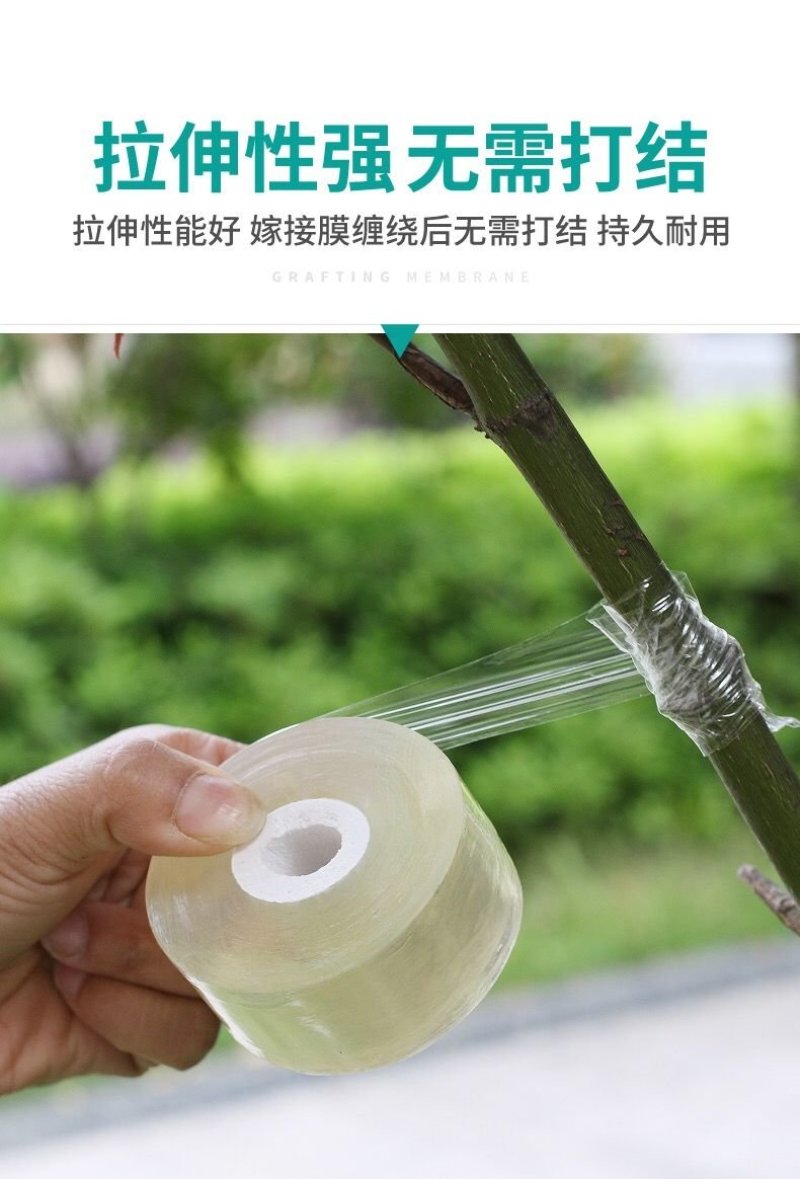 嫁接膜高品质嫁接膜自粘式园艺果树嫁接专用膜缠绕膜接树嫁接