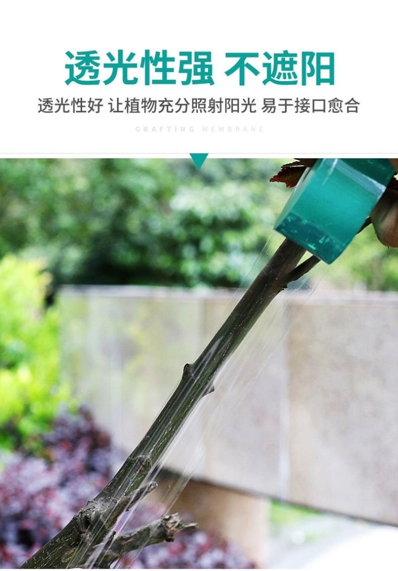 嫁接膜高品质嫁接膜自粘式园艺果树嫁接专用膜缠绕膜接树嫁接