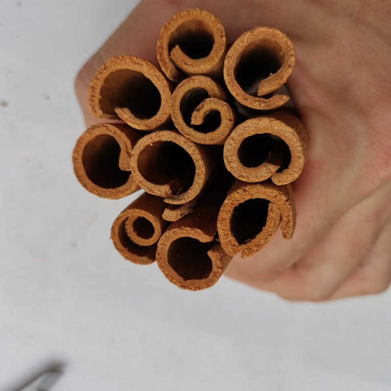 广西桂皮工艺品烟桂批发玉桂干货