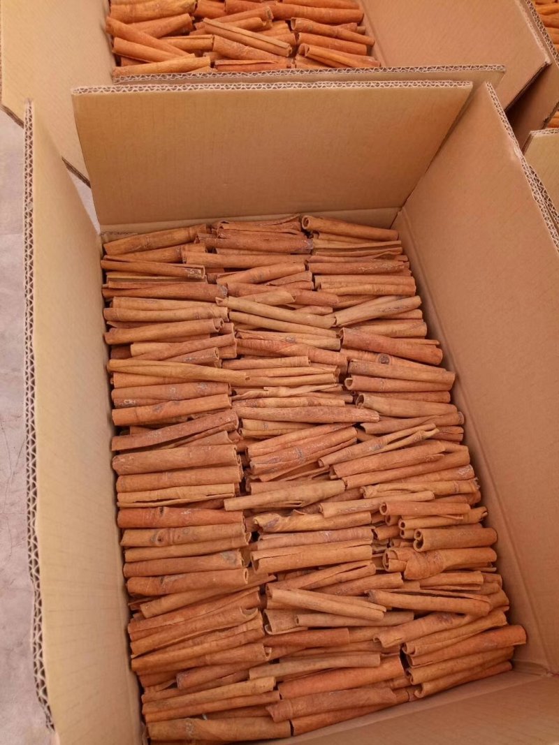 广西桂皮工艺品烟桂批发玉桂干货