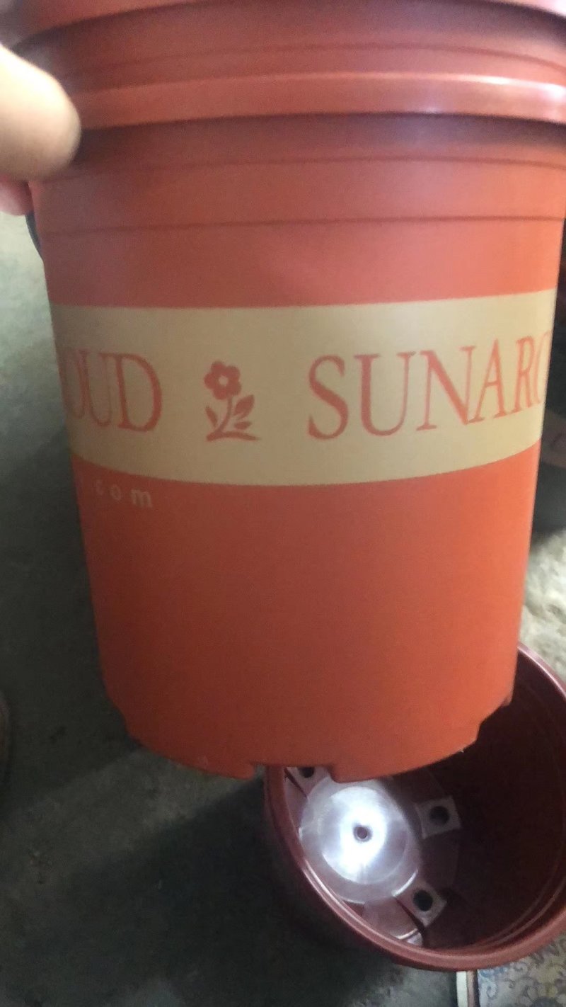营养杯，加仑盆，一级原材料生产，经久耐用，硬度好，支