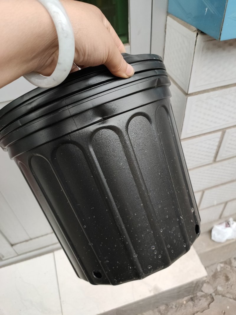营养杯，加仑盆，一级原材料生产，经久耐用，硬度好，支