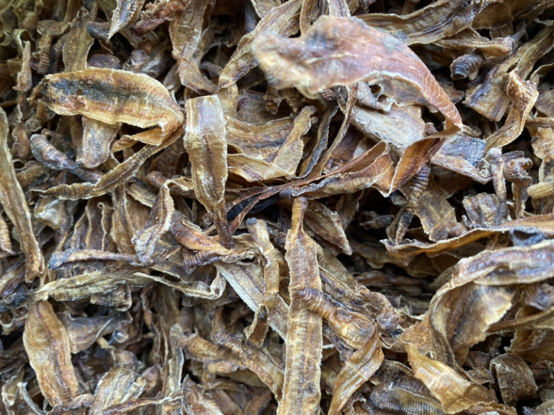 地龙广西地龙各种中药材批发量大从优