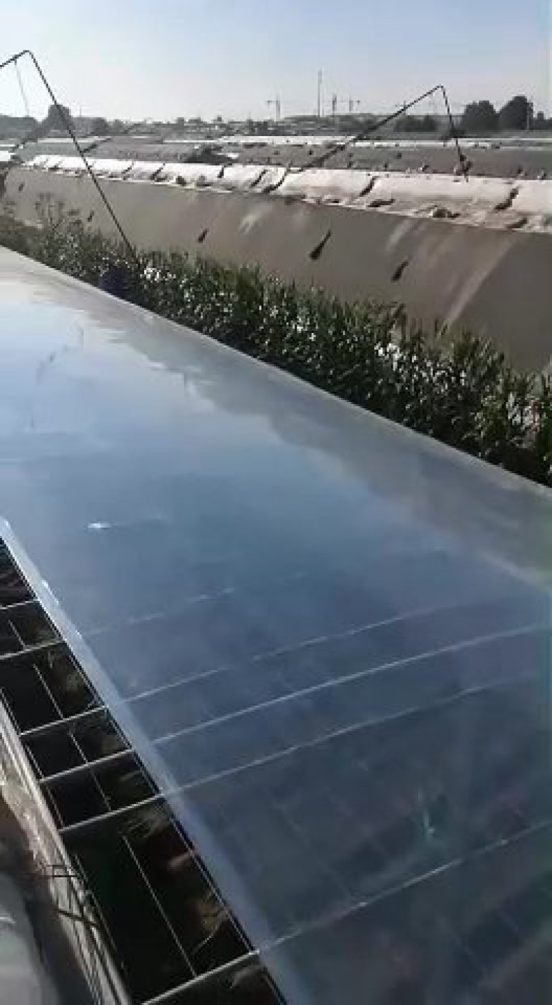 精品金宝牌进口PO膜EVA膜大棚膜