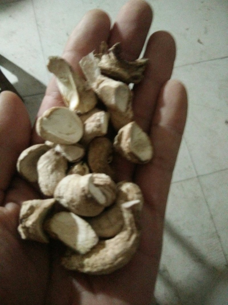 河南内乡香菇腿各种规格，年供应500吨，对接食品加工厂