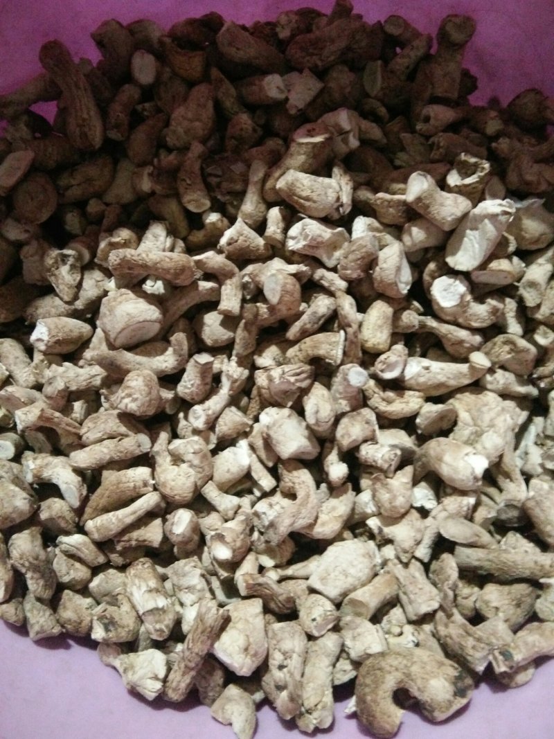 河南内乡香菇腿各种规格，年供应500吨，对接食品加工厂