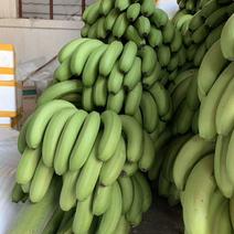 广西高山香蕉当季新鲜水果