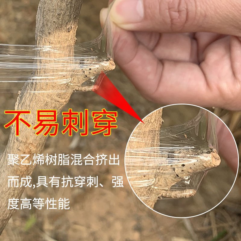 嫁接膜果树自粘接树膜专用打结树苗膜绑枝植物茶叶3厘米芽接