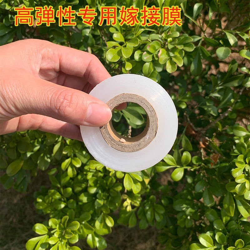 嫁接膜果树自粘接树膜专用打结树苗膜绑枝植物茶叶3厘米芽接