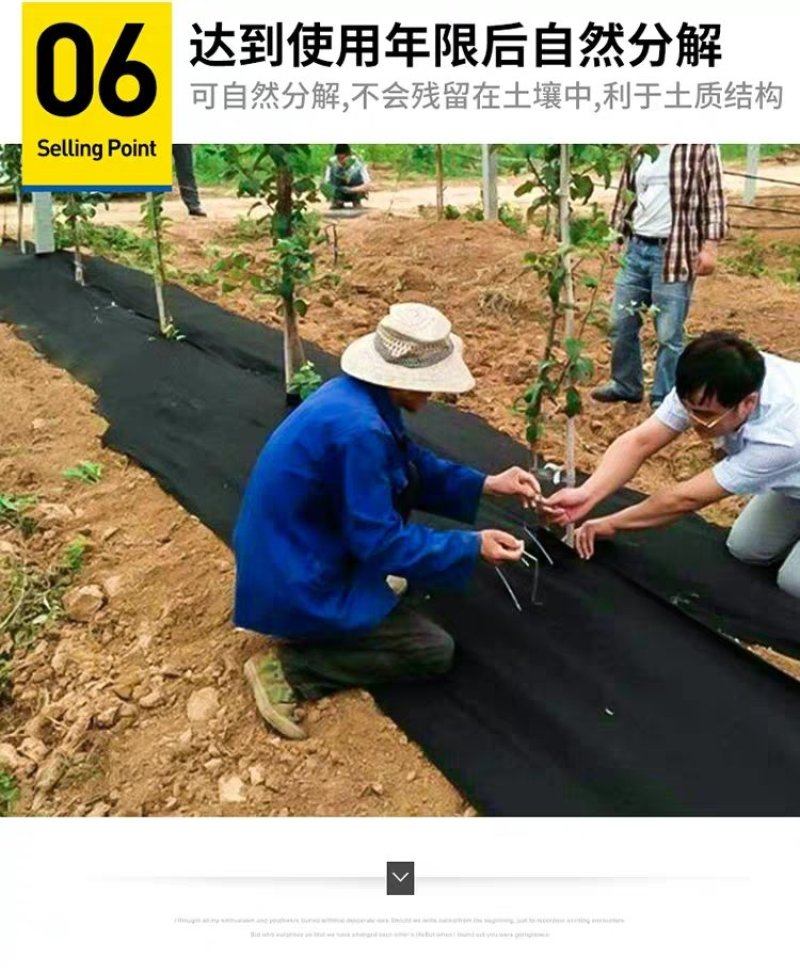 防草布除草布耐用盖草布农用果园果树园艺大棚遮光透气地布防
