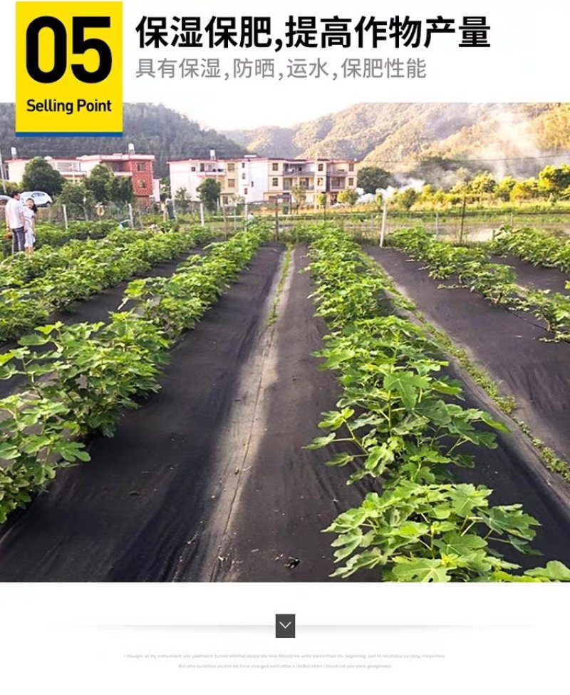 防草布除草布耐用盖草布农用果园果树园艺大棚遮光透气地布防