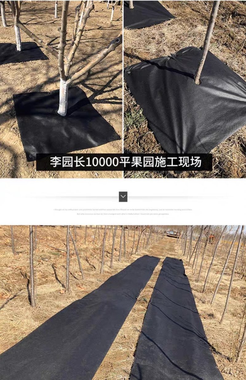防草布除草布耐用盖草布农用果园果树园艺大棚遮光透气地布防