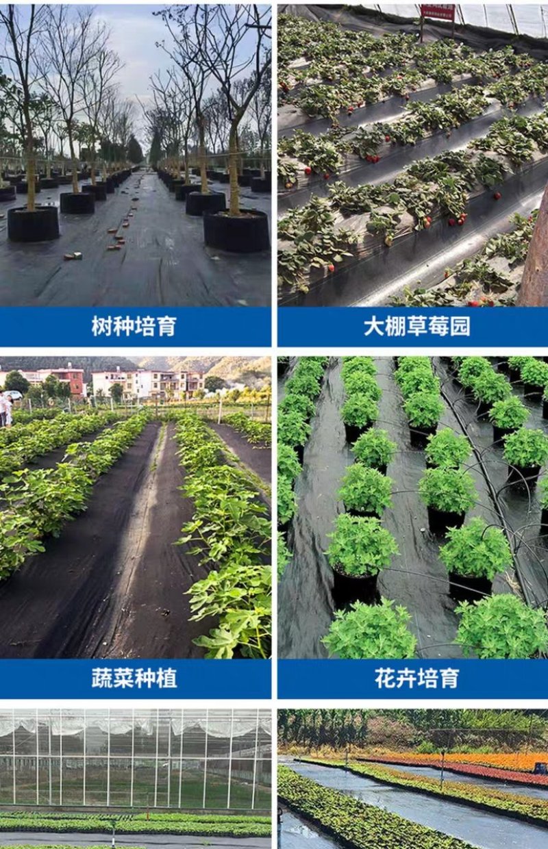 防草布除草布耐用盖草布农用果园果树园艺大棚遮光透气地布防