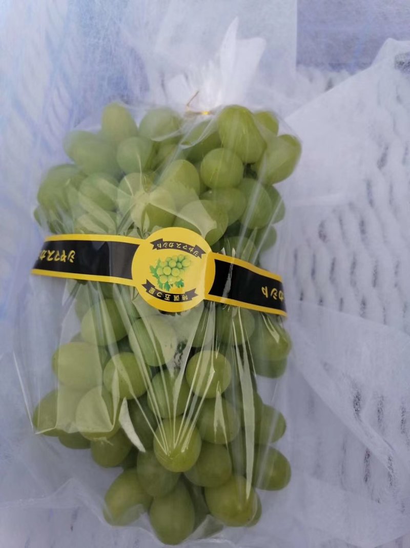 云南白鸡心青提葡萄大量上市品质好口感甜欢迎来电